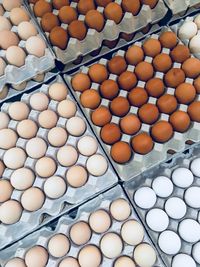High angle view of eggs in cartons
