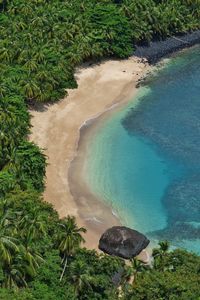 High angle view of sea shore