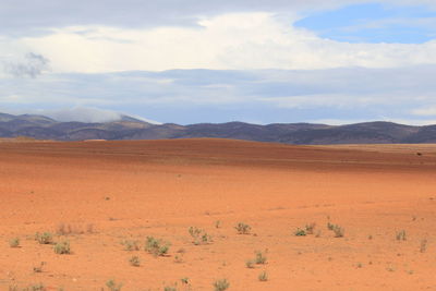 Scenic view of desert against sky