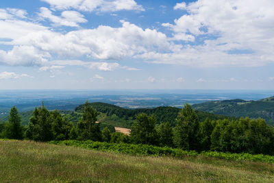 Scenic view of field against sky