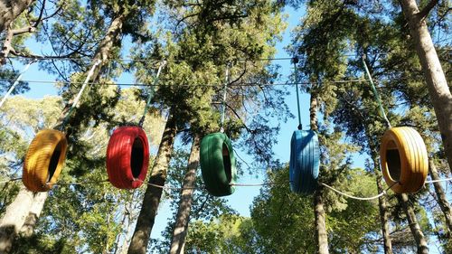 Low angle view of colorful tires hanging against trees at playground