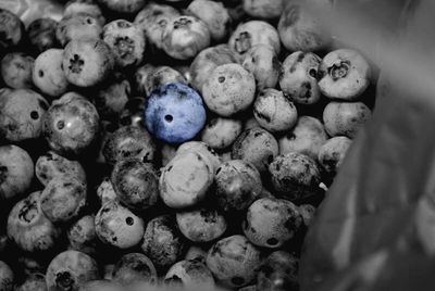 Close-up of vegetables