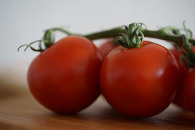 Close-up of tomatoes on table
