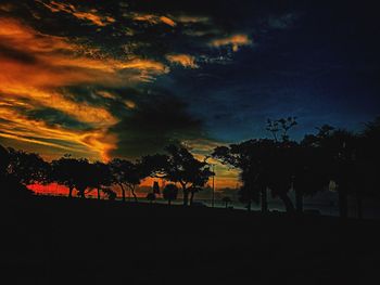 Silhouette trees on field against sky at sunset