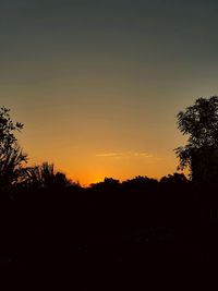 Silhouette of trees at sunset