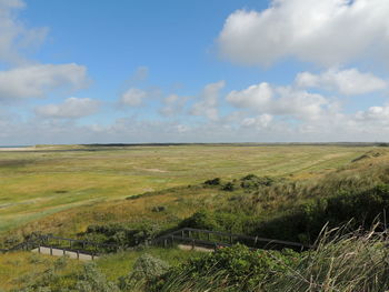 Scenic view of field against sky