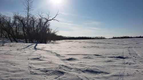 Scenic view of snowy field against sky during winter