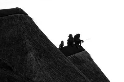 Low angle view of friends against clear sky