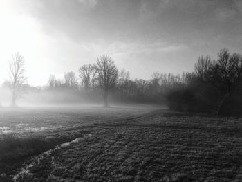 Trees on field against sky during winter