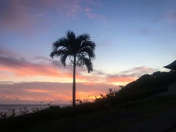 Silhouette palm trees against sky during sunset