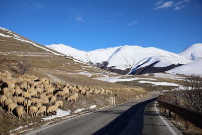 Road amidst snowcapped mountains against sky