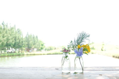 Close-up of vase on table against clear sky