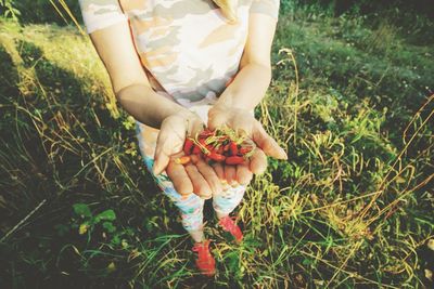 Low section of woman holding mushrooms on field