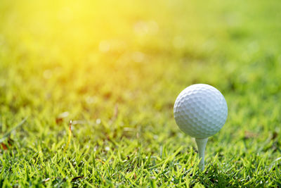 Close-up of ball on grass