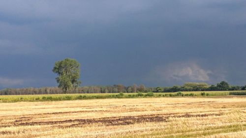 Scenic view of field against sky