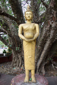 Statue of buddha against tree trunk