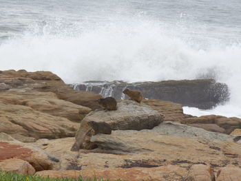 Scenic view of sea waves