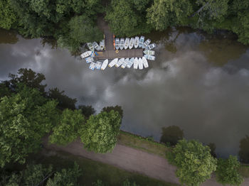 High angle view of lake against trees