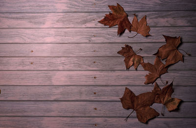 Autumn leaves on wooden table