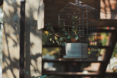 Close-up of metal fence