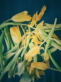 Close-up of yellow lilies in vase