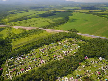 High angle view of agricultural field