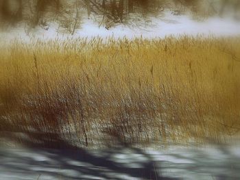 Full frame shot of water