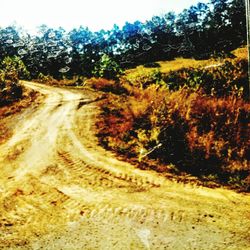 Dirt road passing through landscape