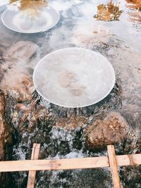 High angle view of coffee beans in water