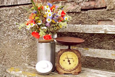 Close-up of flowers blooming on wall