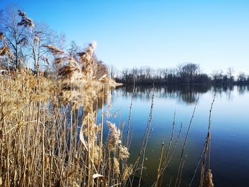 Scenic view of lake against clear blue sky