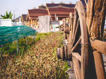 Cart wheels and wooden walkways at temple called wat pipat mongkol or the golden buddha ,  thailand 