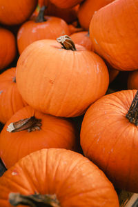 Full frame shot of pumpkins