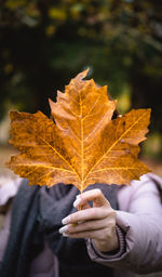 Person holding maple leaf during autumn