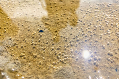 Full frame shot of sand at beach