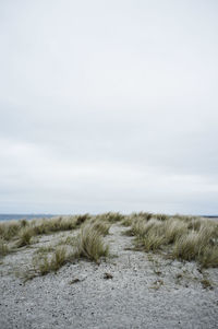 Scenic view of landscape against cloudy sky