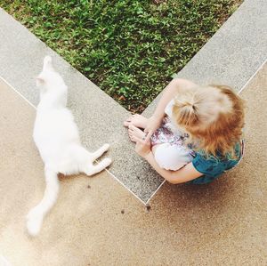 Directly above shot of girl sitting by cat on sidewalk