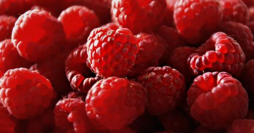 Close-up of raspberries