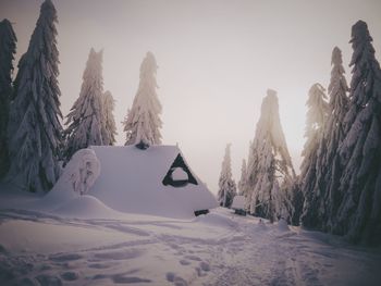 Panoramic shot of snow covered land against sky