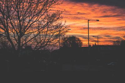 Silhouette trees against orange sky