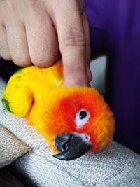 Close-up of baby hand holding toy