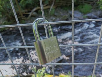 Close-up of metal fence against plants