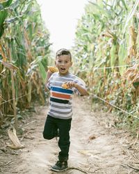 Portrait of boy standing on corn field