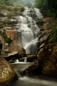 Scenic view of waterfall in forest