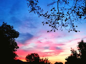 Low angle view of silhouette trees against sky