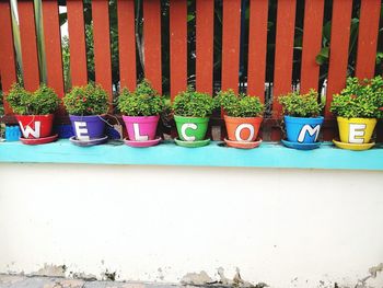 View of potted plants on wall