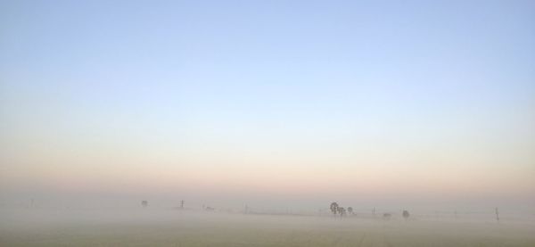 People on field against sky during sunset