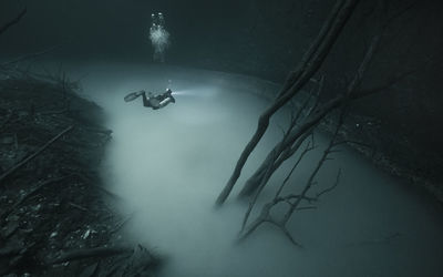 High angle view of fishes swimming in foggy weather
