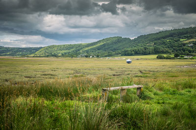 Scenic view of agricultural field against sky