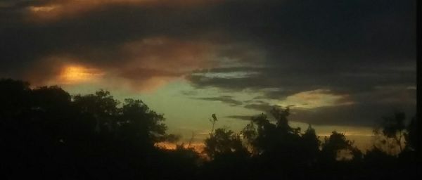Silhouette trees against sky at sunset